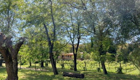 Quinta da Mata de Baixo - Foto 5