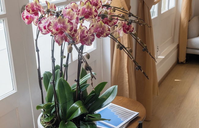 Hovoh Boutique Serviced Apartment - Foto 41