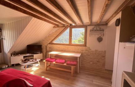 Appartement Chalet Pra Loup - Foto 33