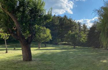 Chalet - Les Fermes de Céline - Barcelonnette - Foto 38