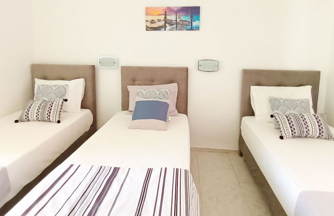 Lecini Studios - Foto 18