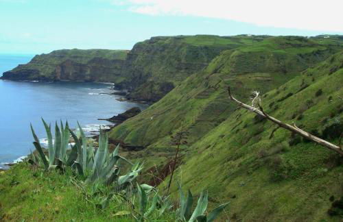 Casa da Avó - Vila do Porto - Foto 30