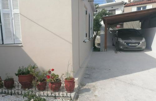 Lemon Tree House - Photo 7