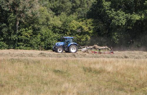 Steel Works Farm - Foto 29