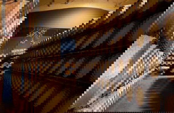 Visita di Vinos Heraclio Alfaro - Foto 5