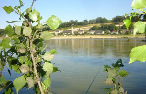 Les Bords de Loire - Foto 5