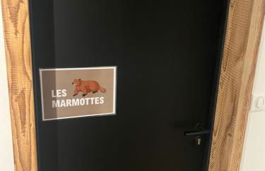 la vallée des marmottes - Foto 22