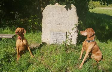Ferienhäuser Oberdorla - Foto 69