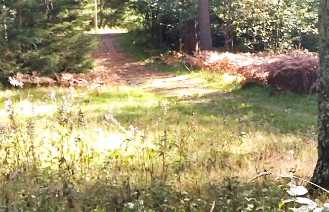 6 Person Holiday Home in Ed-by Traum - Foto 17