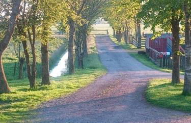 Landhaus Sonnenglück - Foto 19