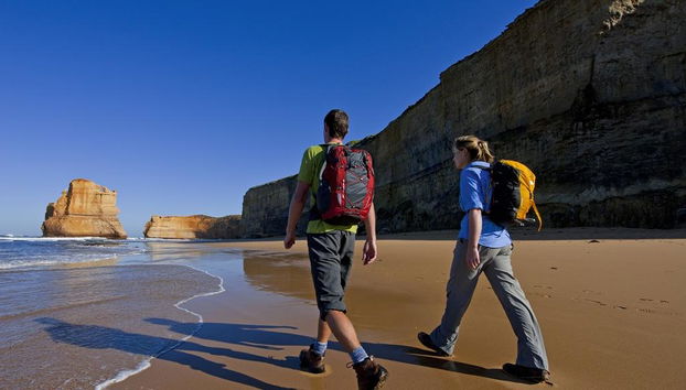 La Great Ocean Road e i 12 Apostoli - Tour di un'intera giornata - Foto 5