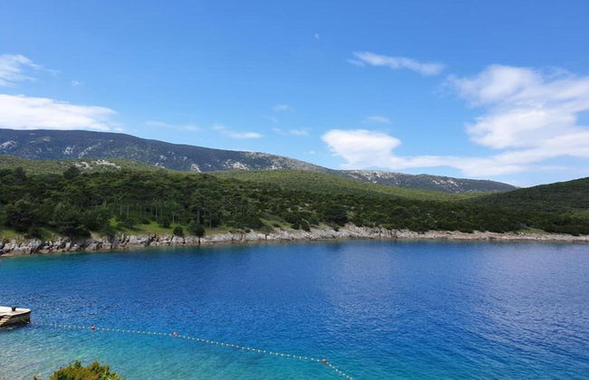 Holiday Home in Osor Near Sandy Beach - Foto 34