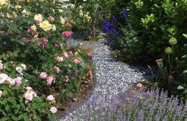 Residence Kingshill - Foto 9