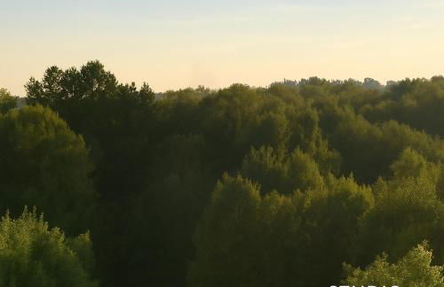 Studio Ypsilon mit malerischem Ausblick - Foto 8