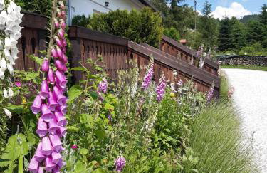 Wysokie Łąki domki w górach - Foto 28