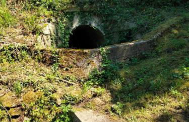 à l'orée du bois - Foto 18