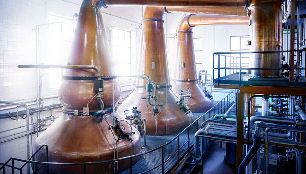 Conoceréis el proceso de elaboración del whisky DYC