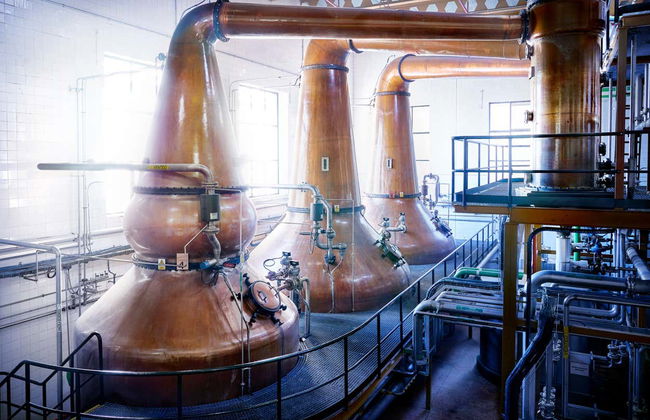 Visita a la destilería DYC - Foto 2