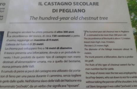 Casa del Castagno - Foto 29