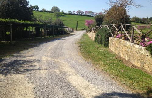 I Puntoni Agriturismo - Foto 75