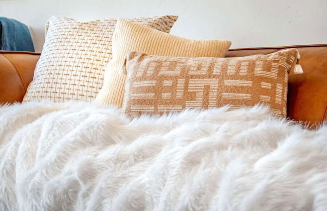 EML 1 Pack Saddle Jack - Foto 42