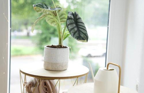 Gemütliches Apartment bei Köln - Foto 8