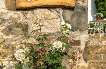 Can Rosich - Foto 70