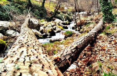 ALBAREÍLLA by #cherrygredos - Photo 22