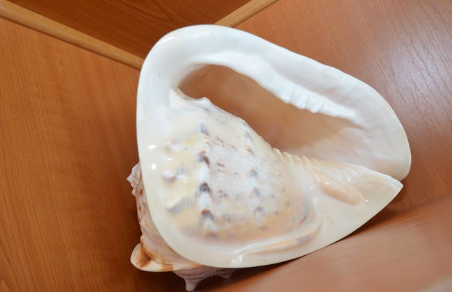 Apartments Corovic - Foto 31