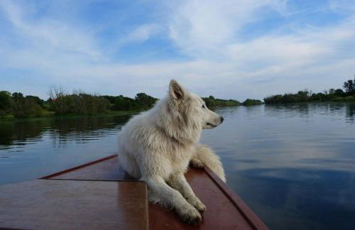 Große Ferienwohnung 85qm - Foto 29