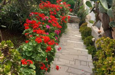 Apartments Ranko - Foto 16