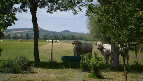 Gîte à la Ferme de la Bouriette - Foto 4