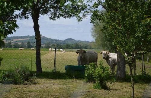 Gîte à la Ferme de la Bouriette - Foto 4