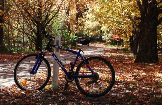 Wildside Sanctuary - Foto 33