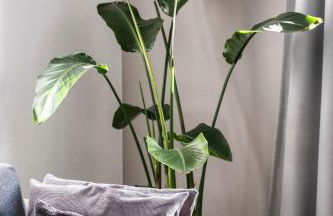 Top modernes Apartment am Zoo - Foto 25