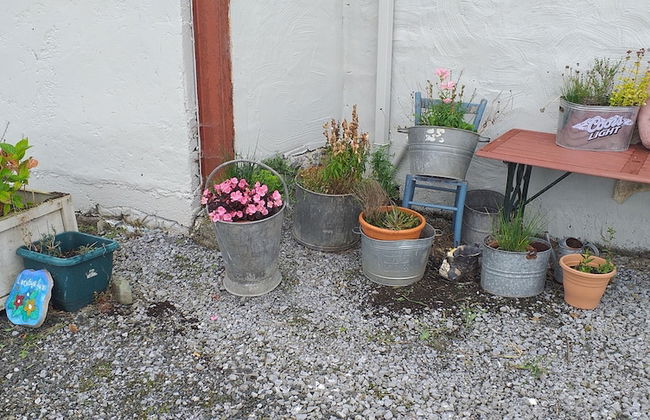 Murphy's Irish Farmhouse Near Ballybunion - Foto 20