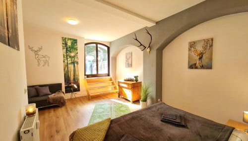 NEU: Großzügige Citywohnung mit XXL Dachterrasse! - Foto 4