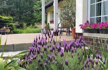 Szczodre Sybillenort blisko Wrocławia - Photo 19