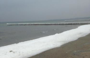 Villa Arosa Ostseetraum - Photo 47