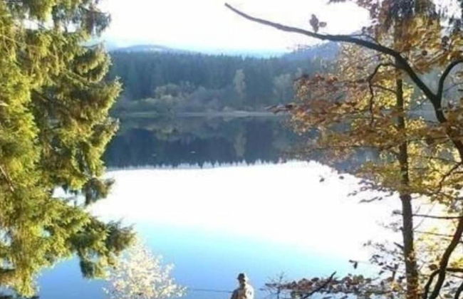 Detached Holiday Residence in the Wonderfully Beautiful Harz - Foto 78