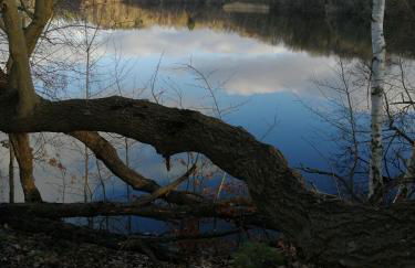 Reiterhof Groß Stubben - Foto 15