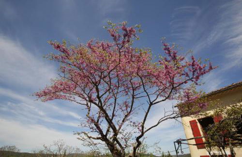 Gîte Roses - Foto 16