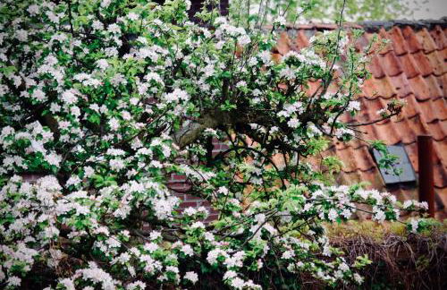 Löwenherz Appartements - Foto 77