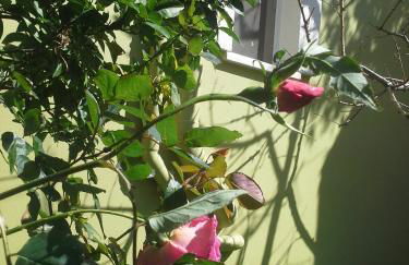 Villa Eftichia - Photo 44