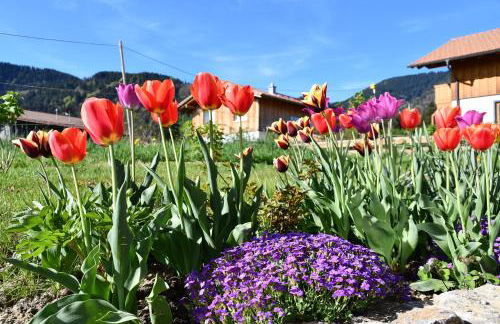 Neue 2 Zimmer FeWo im Murnauer Moos - Foto 13