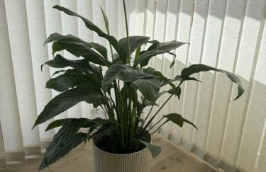 Appartement Cosy, proche Stade de France - Foto 17