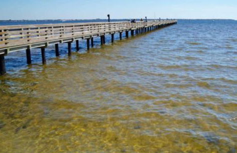 Sunset Inn - Foto 15