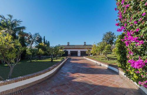 Authentic Andalucia - Photo 9