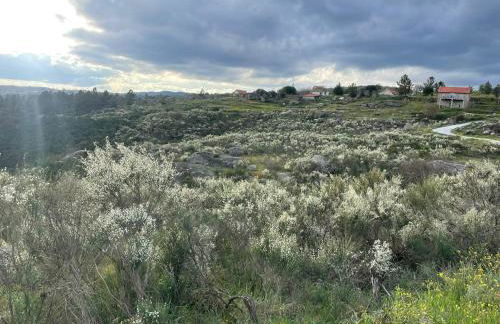 Quinta da Estrela - Foto 50