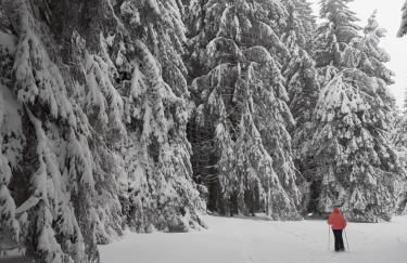 Duplex lumineux à 1200m d'altitude - Foto 10